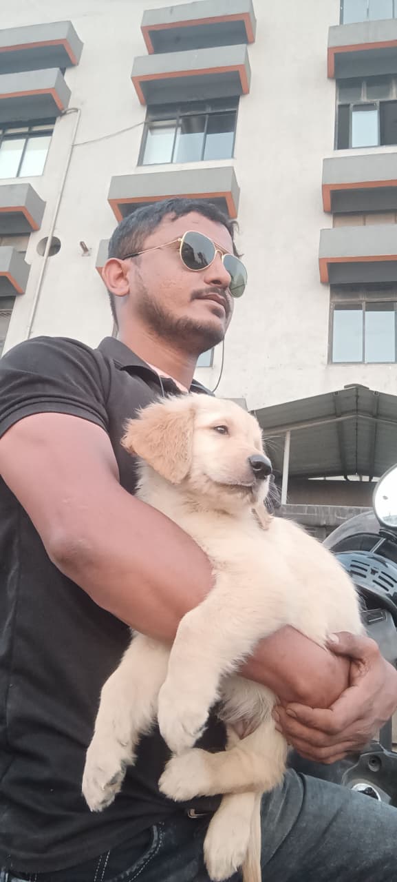 Luna reaching Mumbai safely