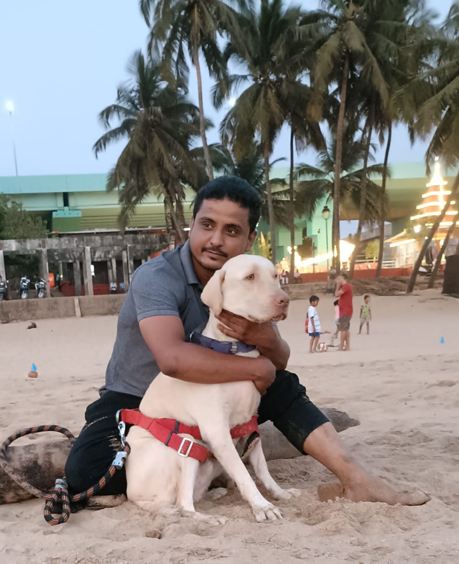 Simba in his comfort crate