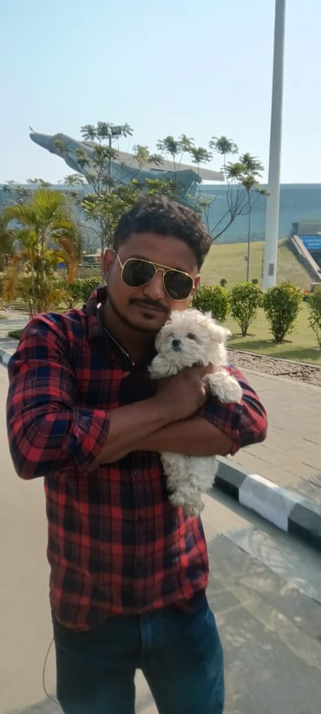 A tiny kitten's first big trip