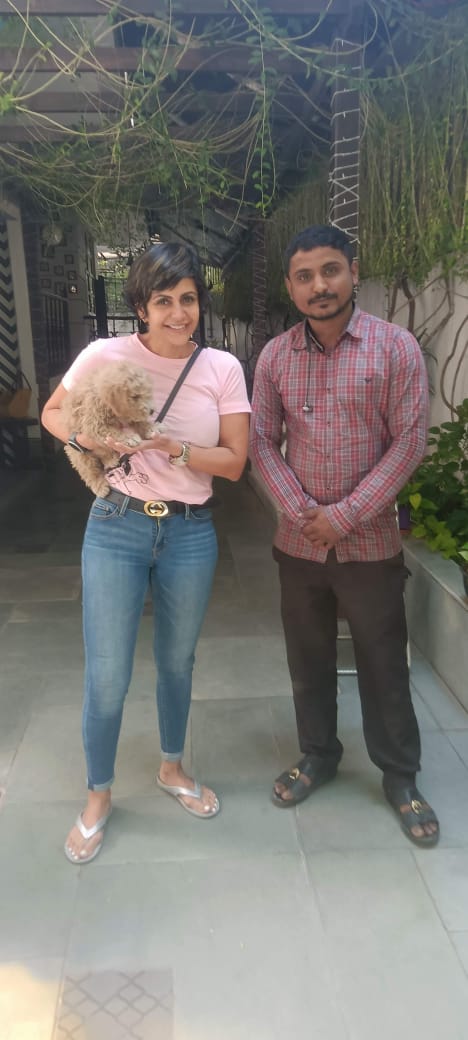 Owner greeting their pet