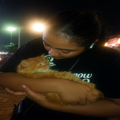 Safely arrived in Bangalore